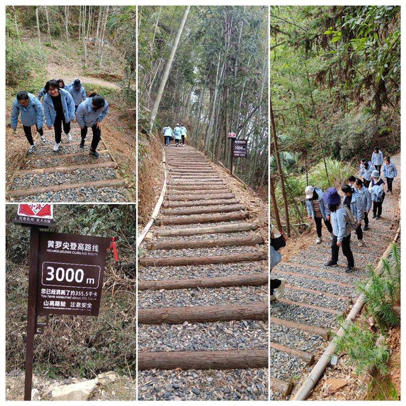 1678331748691495.jpg 登山_副本.jpg